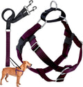 2 Hounds Design Freedom No Pull Dog Harness and Leash, 1" XXL, Burgundy