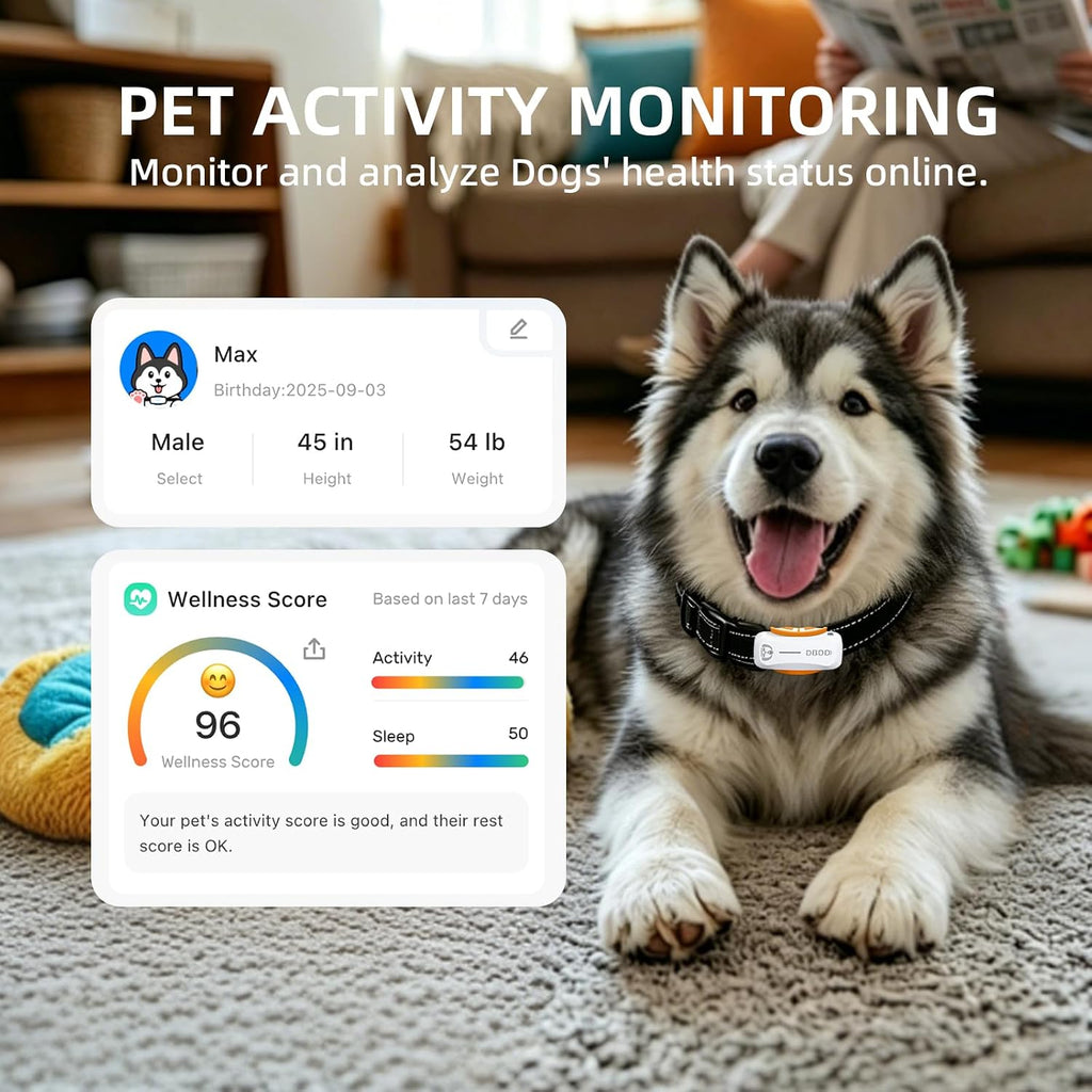 DBDD GPS Dog Trackers, 12-Mo Sub, Real-Time Loc, E-Fence, Health Monitor