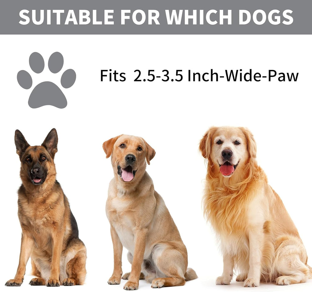 Professional 7 in 1 Dog Paw Cleaner for Dogs & Cats - Includes 1 Portable Paw Washer, 1 Bath Brush, 2 Dog Toothbrushes and 3 Absorbent Towels Note: Fits Paws 2.5 to 3.5 Inches Wide (Large, Grey)