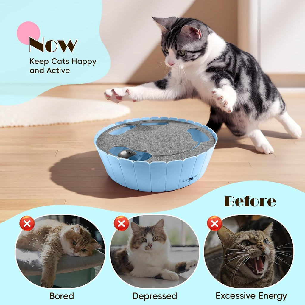 Pawaboo Interactive Cat Toy with Running Mouse, Automatic Track Kitten Toy