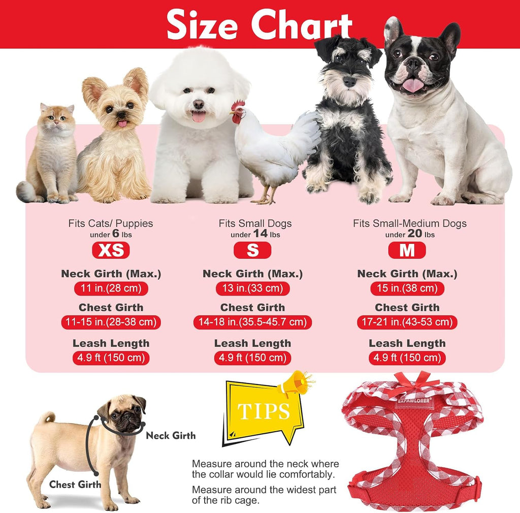 EXPAWLORER Step-in Small Dog Harness and Leash Set, Red XS