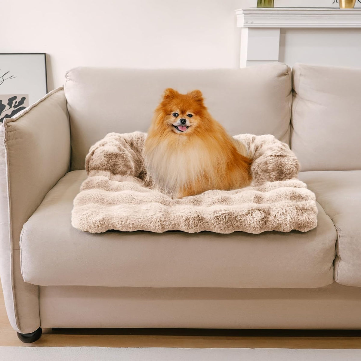 FUNNY FUZZY Dog Couch Bed, Calming Small Dog Sofa Bed Cover Washable