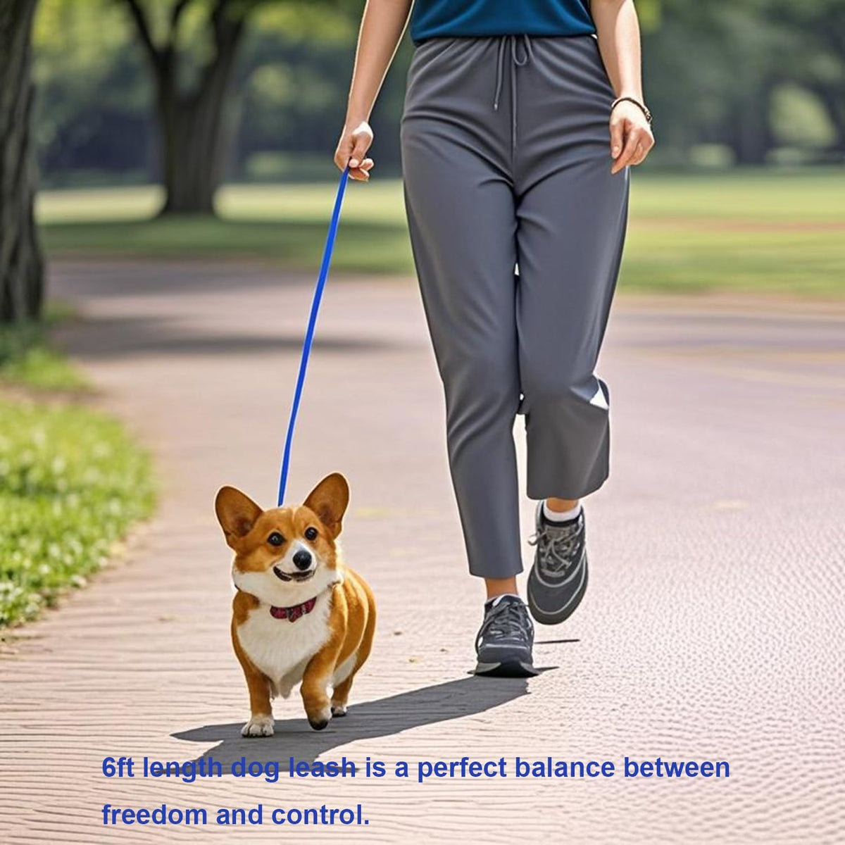 6 FT Puppy Leash, Strong Traditional Style Leash with Easy to Use Collar Hook,Dog Lead Great for Small and Medium and Large Dog (Blue, 5/8 in x 6 ft)