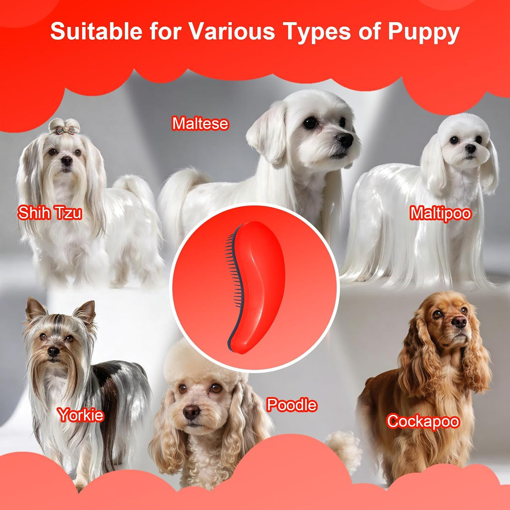 Small Dog Brush, Skin-friendly Soft Bristles (Orange) | Puppy Hair Brush, Massage and Bath Supplies, Pet Grooming Tool for Teddy, Yorkies, Maltese, Shih Tzu, Chihuahua