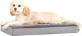 BarkBox Orthopedic Dog Bed - Medium