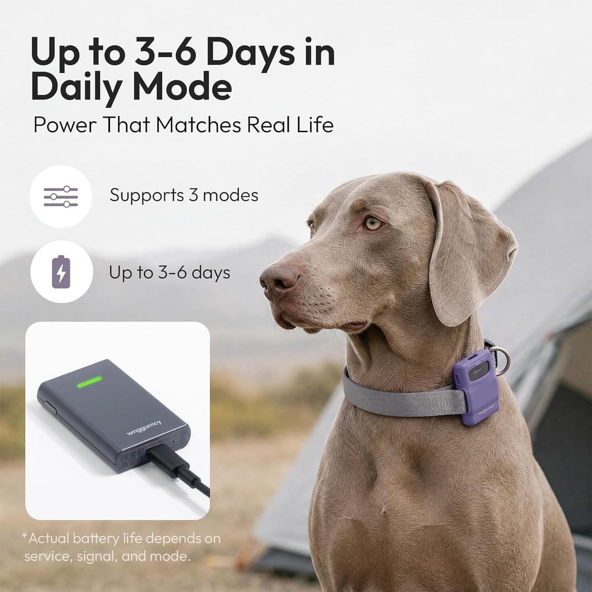 Pet Habit & Activity Smart Tracker, 4G LTE GPS Tracker for Dogs