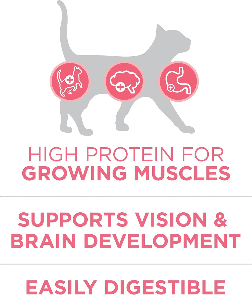 Purina ONE High Protein Natural Kitten Dry Cat Food, 7 lb Bag