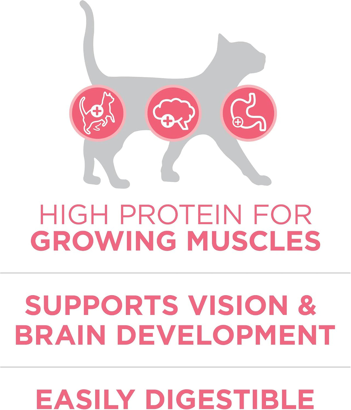 Purina ONE High Protein Natural Kitten Dry Cat Food, 7 lb Bag