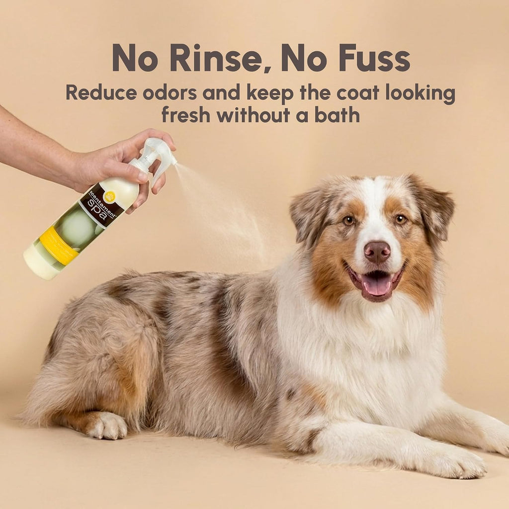 Best Shot Scentament Spa Botanical Body Splash, Detangler Spray, Body Spray for Pets, Cat and Dog Cologne Spray, Lemon Vanilla, 8 Oz.
