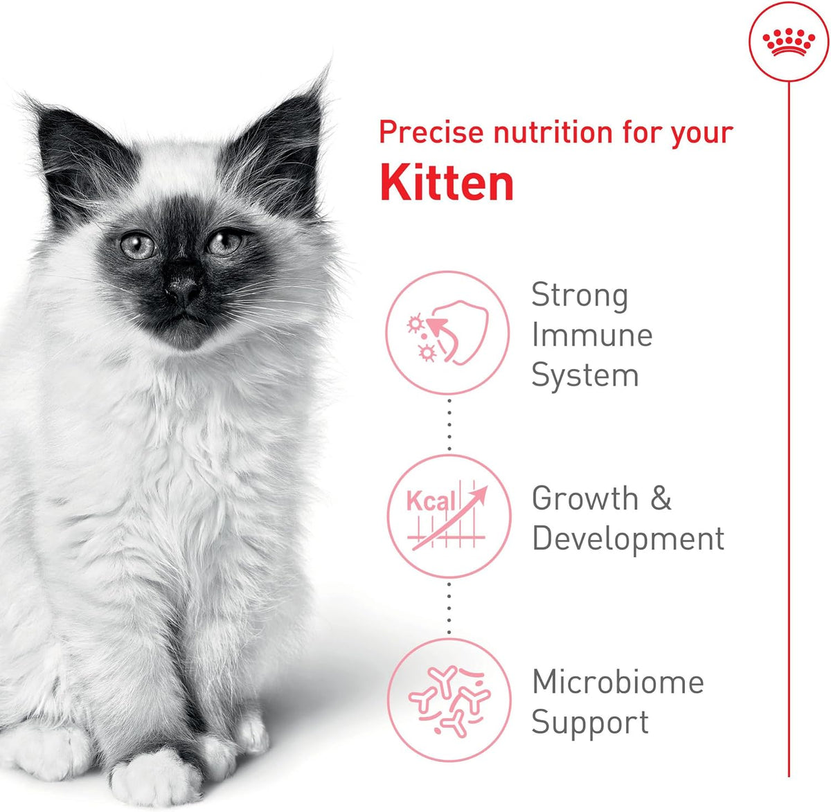 Royal Canin Feline Health Nutrition Dry Kitten Food, Supports Digestive Health, Immune Support and Healthy Energy, 3 lb Bag