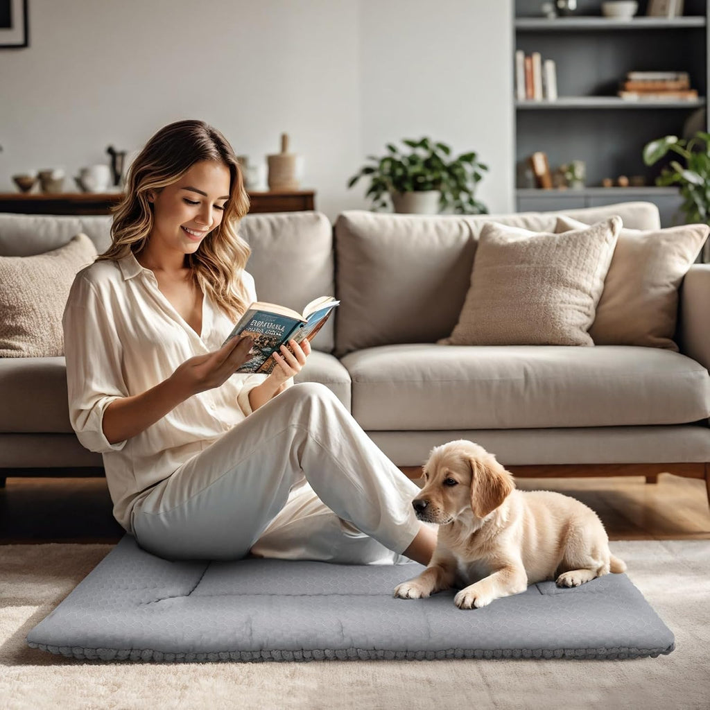 Dog Bed Mat, Crate Pad Reversible,Soft Kennel Washable Crate Mat (Cool and Warm),Pet Sleeping Mattress for Small Medium Dogs XB009 (18''x13'',Corn Velvet Grey)