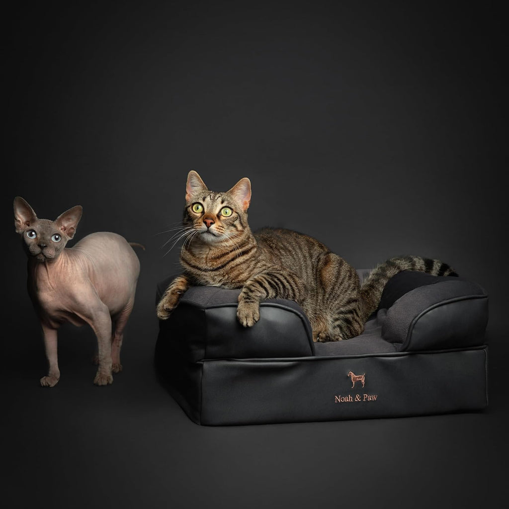 NOAH & PAW Cat Bed, XS Dog Bed, Orthopedic Memory Foam (2X Base) 20x15x8 in