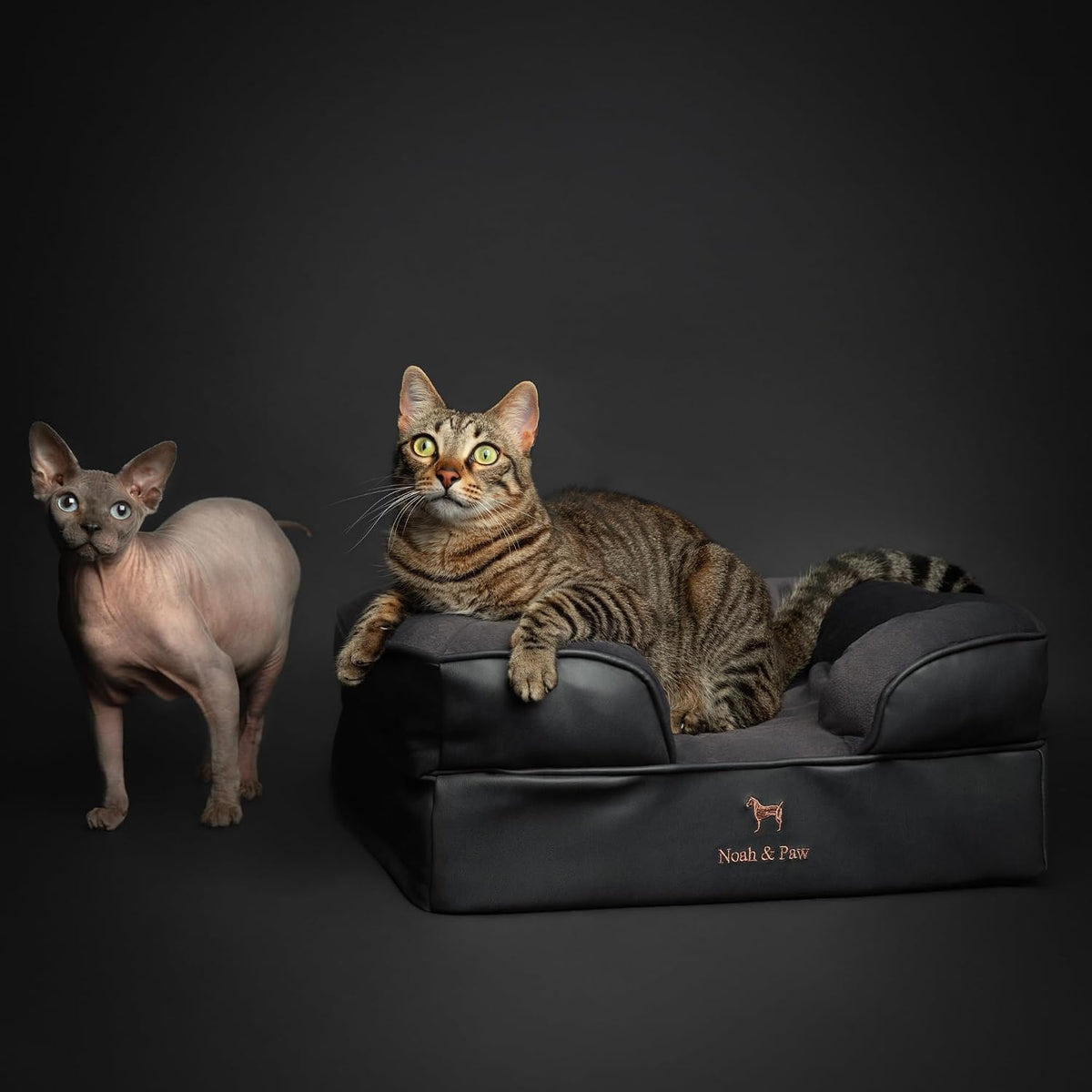 NOAH & PAW Cat Bed, XS Dog Bed, Orthopedic Memory Foam (2X Base) 20x15x8 in