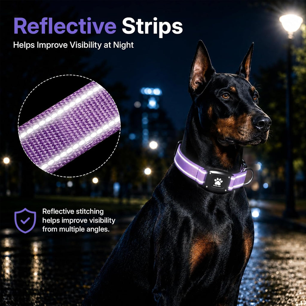 GPS Dog Collar with Tracker, Waterproof, No Monthly Fee, Purple, M