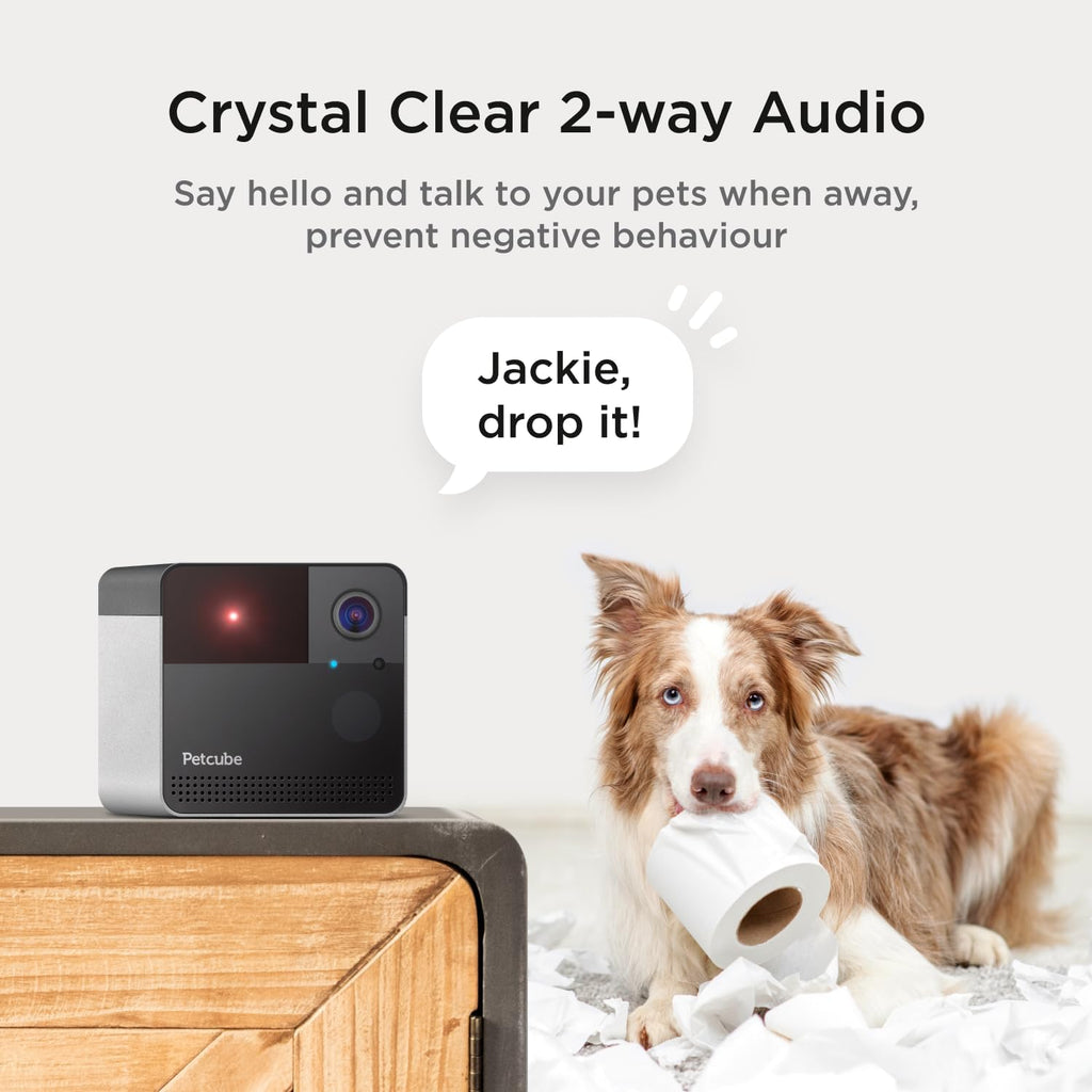 Petcube Play 2 - Wi-Fi Pet Camera with Laser Toy for Cats & Dogs