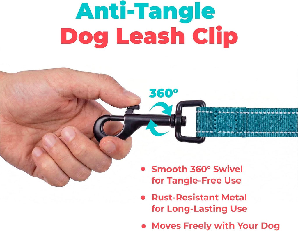 Best Pet Supplies Voyager Nylon Dog Leash - Turquoise, Medium