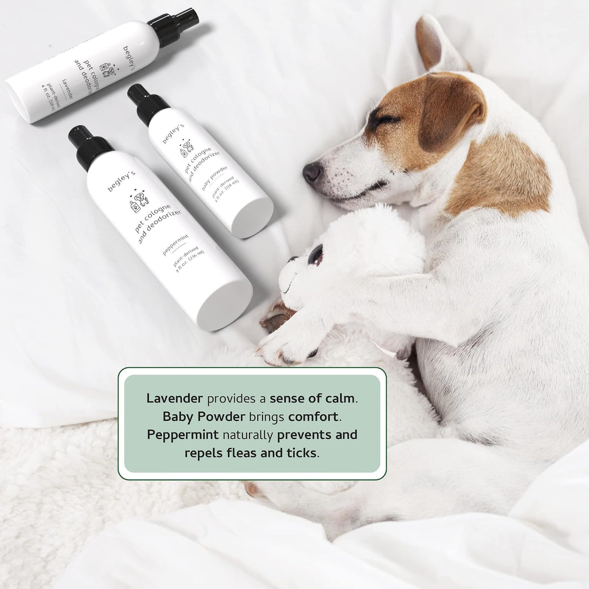 Begley's Pet Cologne and Deodorizer - Premium Essential Oil Dog Perfume Spray Long Lasting and Pet Odor Eliminator - Cat Perfume and Dog Cologne Spray - Baby Powder - 8 oz