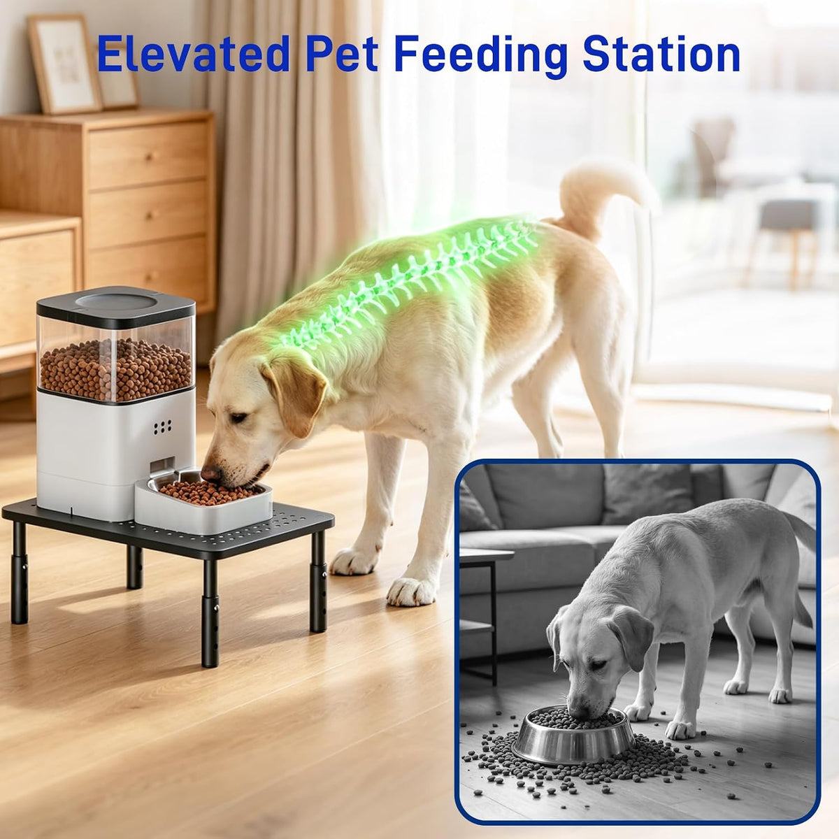 Elevated Cat Food Stand, Height Adjustable for Multi-Size Pet