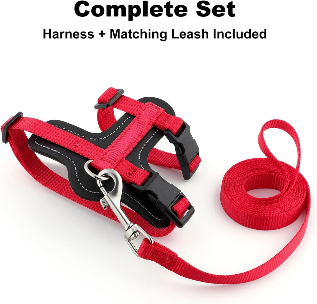 Plutus Pet Adjustable Cat Harness and Leash Set, with Leather Trim