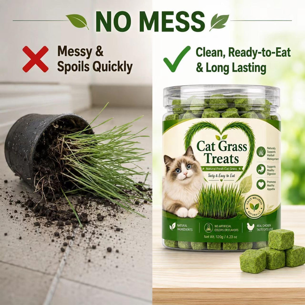 Cat Grass Treats for Indoor Cats, Natural Hairball Control Snacks with Catnip, Healthy Chewable Grass Pellets for Digestive Support