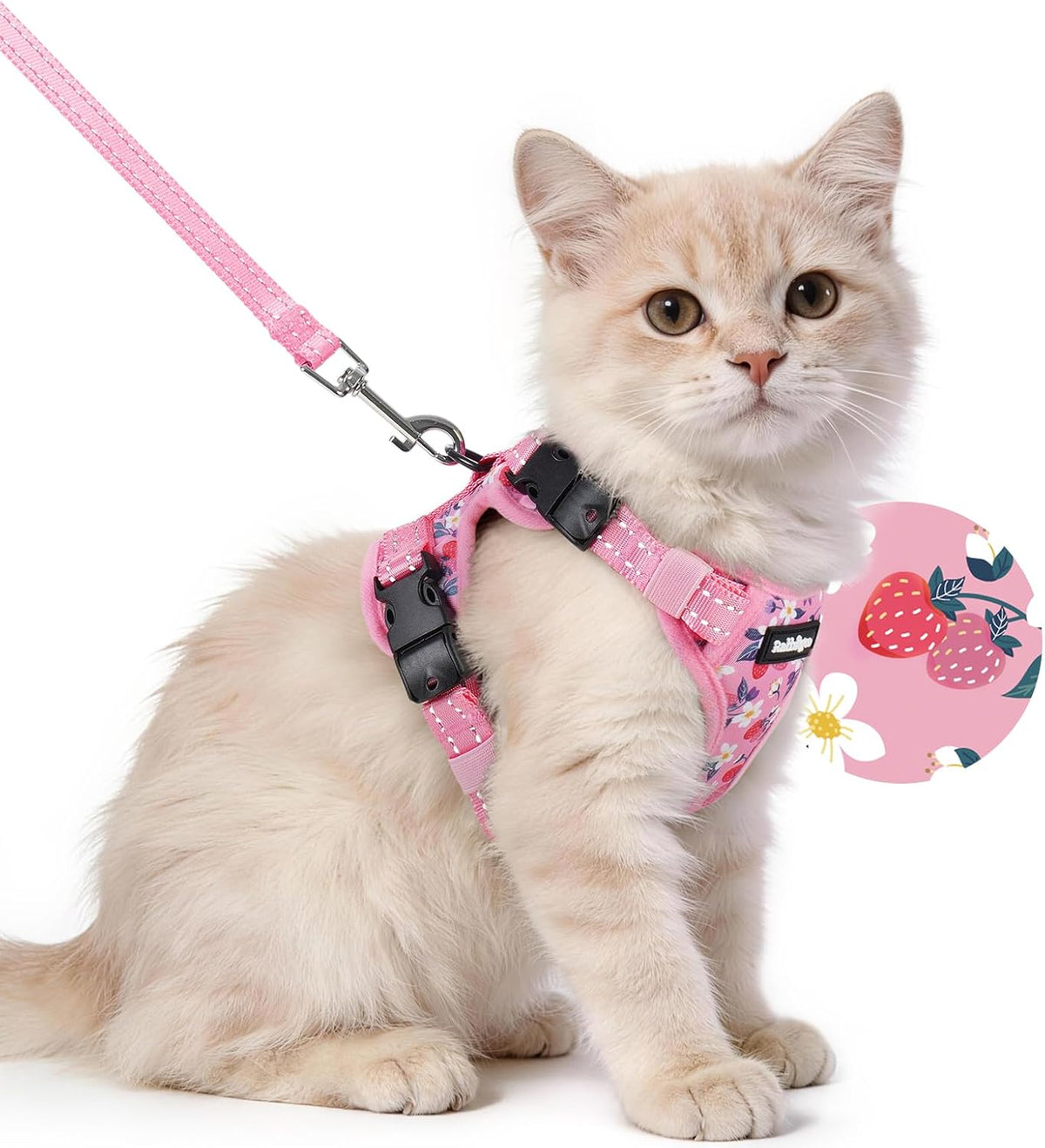 rabbitgoo Cat Harness and Leash Set, Easy-on with Neck Buckle, Berry Bloom