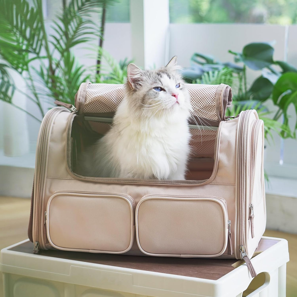 FUKUMARU Cat Carrier, Airline Approved Dog Carrier with Rollable Cover