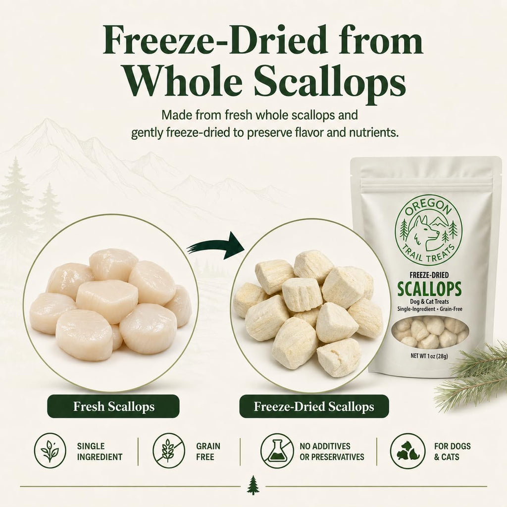Oregon Trail Treats Freeze-Dried Scallops Dog & Cat Treats - Single Ingredient Premium Bay Scallops Grain Free 1 oz