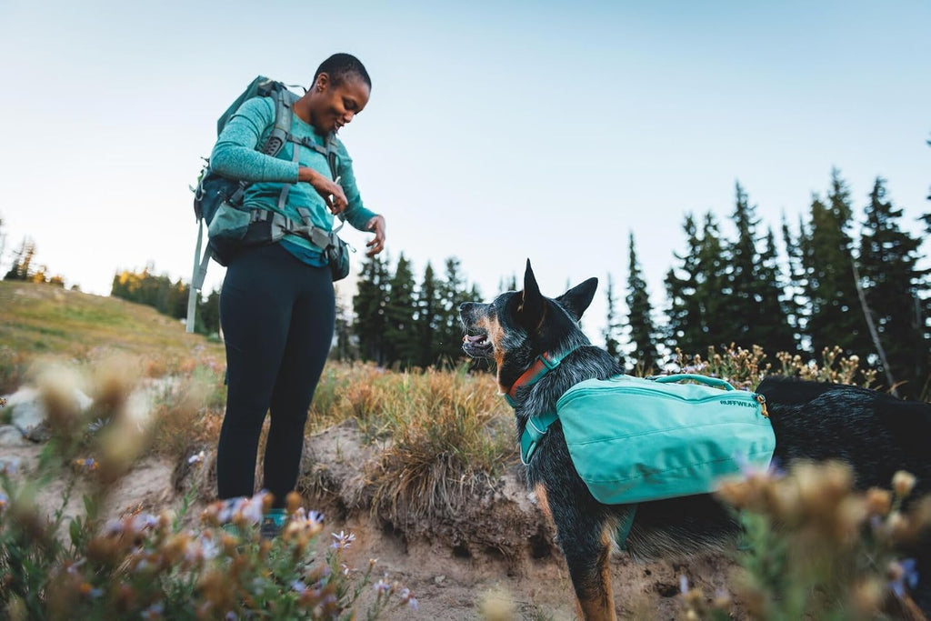 Ruffwear, Front Range Day Pack, Basalt Gray, Medium
