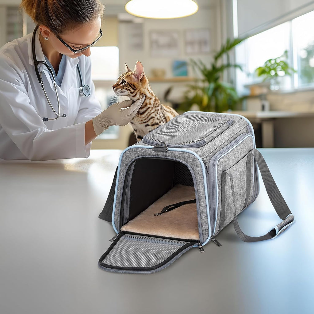 Petsfit Small Double Expandable Cat Carrier for Kittens and Air Travel