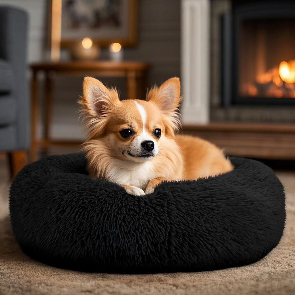Hoewina Dog & Cat Bed, 20in Cat Beds for Indoor Cats (Black)