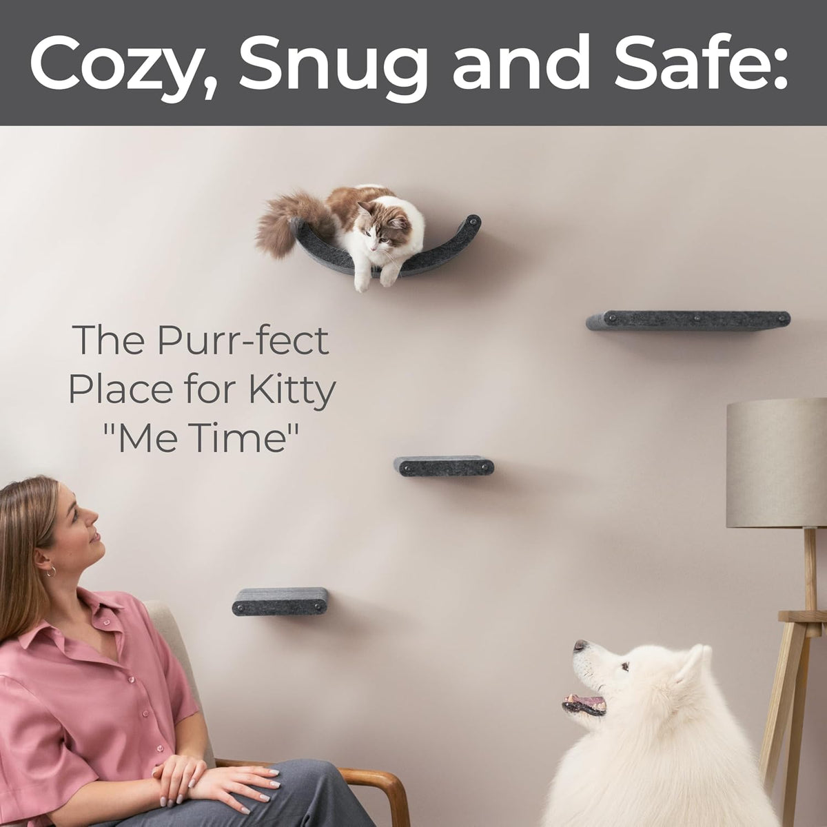 Cat Wall Shelves Set - Indoor & Outdoor by Pryde Pets
