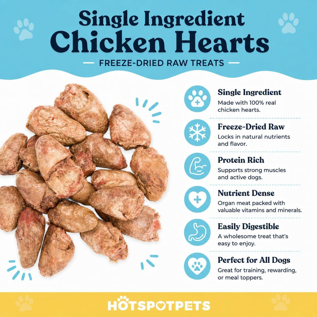 Hotspot Pets Freeze Dried Chicken Hearts for Cats & Dogs- 1LB Bag (300+pcs) USA Made, Healthy Single Ingredient All Natural Grain Free- Resealable -Perfect for Training, Topper or Snack, Allergen-Free