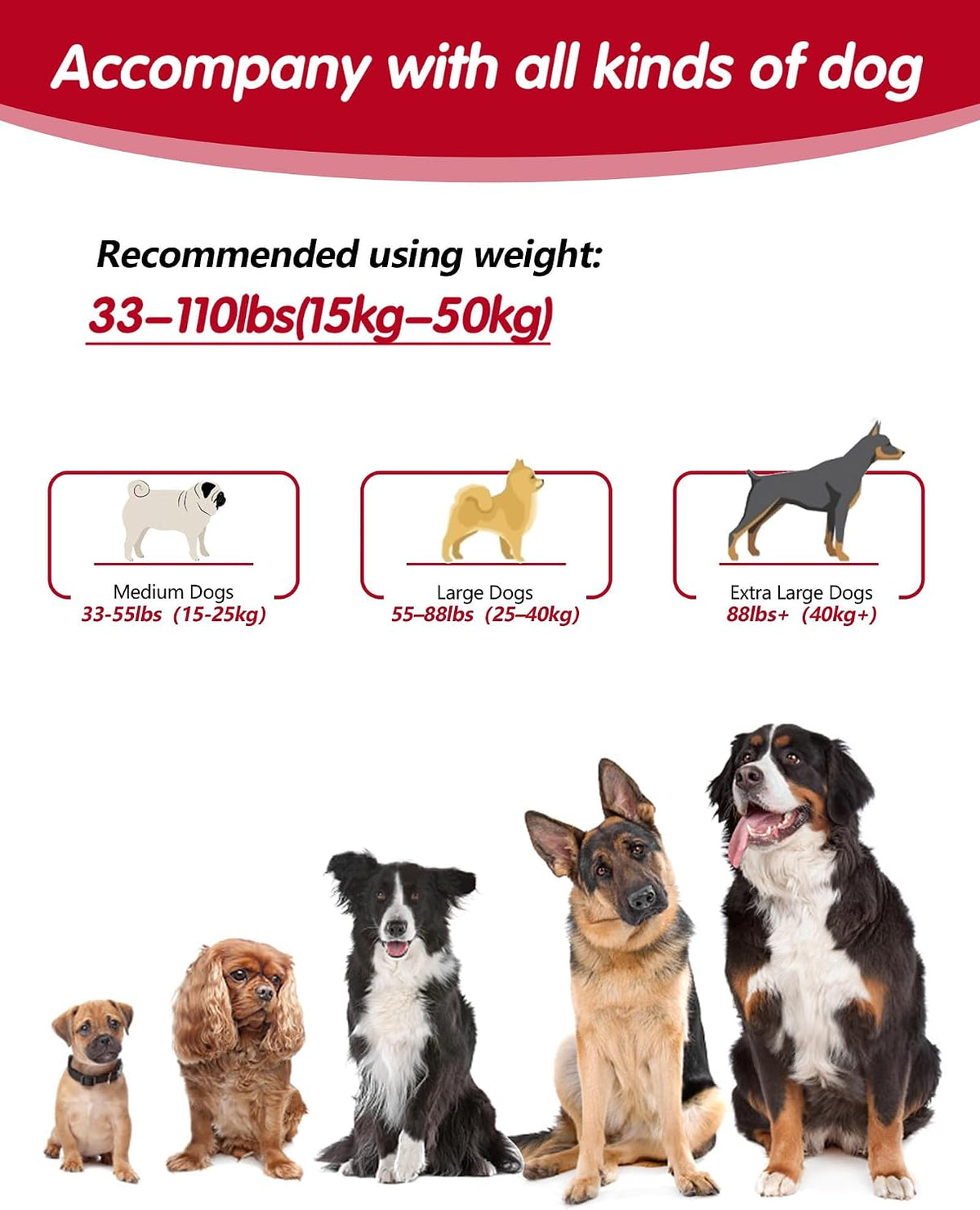 Hands Free Dog Leash, Multifunctional Crossbody Dog Leash