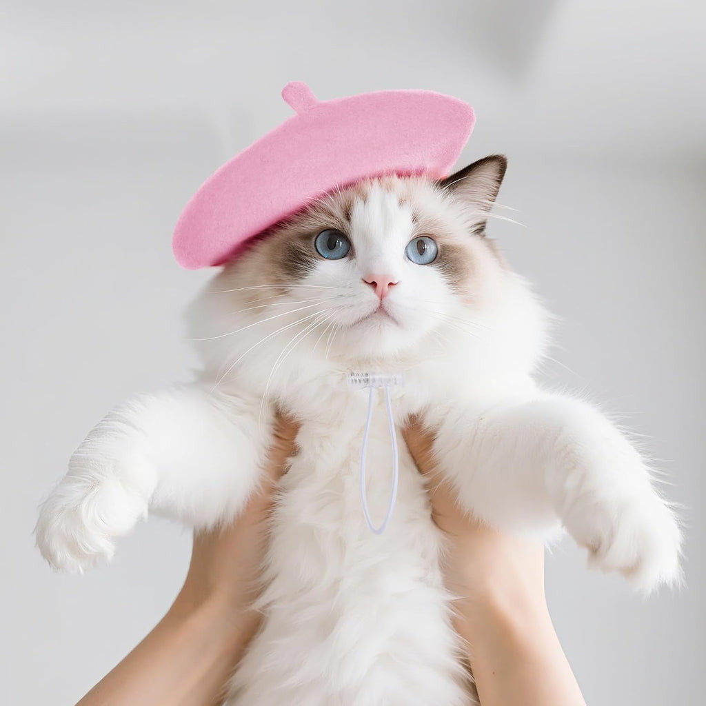 choyaxo 1pcs Dog Beret Funny Artist Dog hat for Small Dogs Cat Halloween