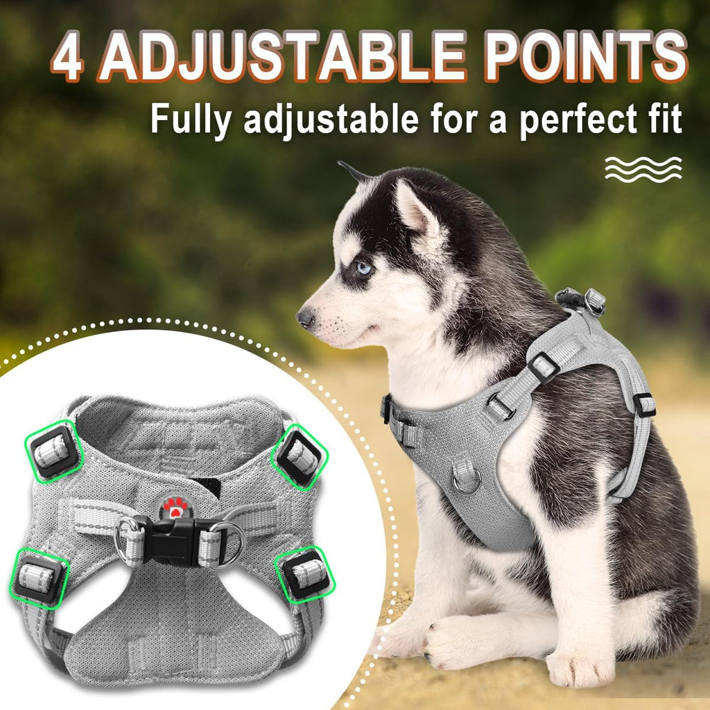 BARKBAY Small Dog Harness,No Pull Puppy Harness,Step-in Dog Vest