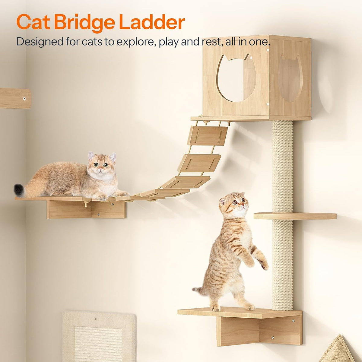 HOOBRO Wood Cat Wall Shelves, Set of 5 Modern Cat Wall Furniture with Corridor, Plush Hammock, Steps, Scratcher and Climbing Shelves for Playing, Sturdy, Durable and Safe, Natural NL45CS03