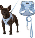 AMTOR Small Dog Harness with Leash Set, No Escape Easy Walk Puppy Harnesses for Training Walking, Step-in Reflective Soft Dogs Vest for XS S Medium Extra-Small Large Sized Dog(Blue/White,S)