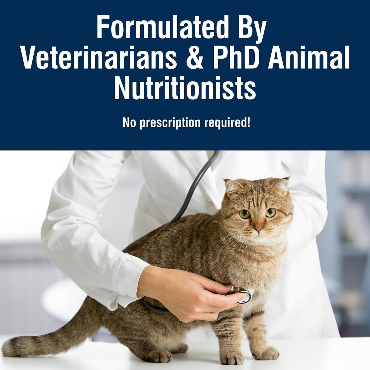 Blue Buffalo True Solutions Hairball Control Chicken Dry Cat Food, 11 lb
