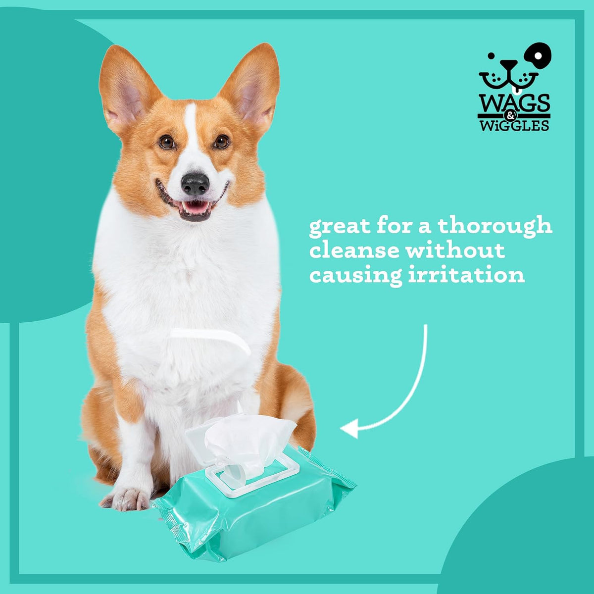 Wags & Wiggles Hypoallergenic Dog Wipes, Fragrance-Free, 100 Count | Waterless cleansing cloths for paws, face, and body, no SLS, parabens, or DEA for sensitive skin