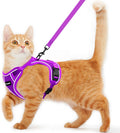 Cat Harness and Leash for Walking Escape Proof Soft Adjustable Cat Leash