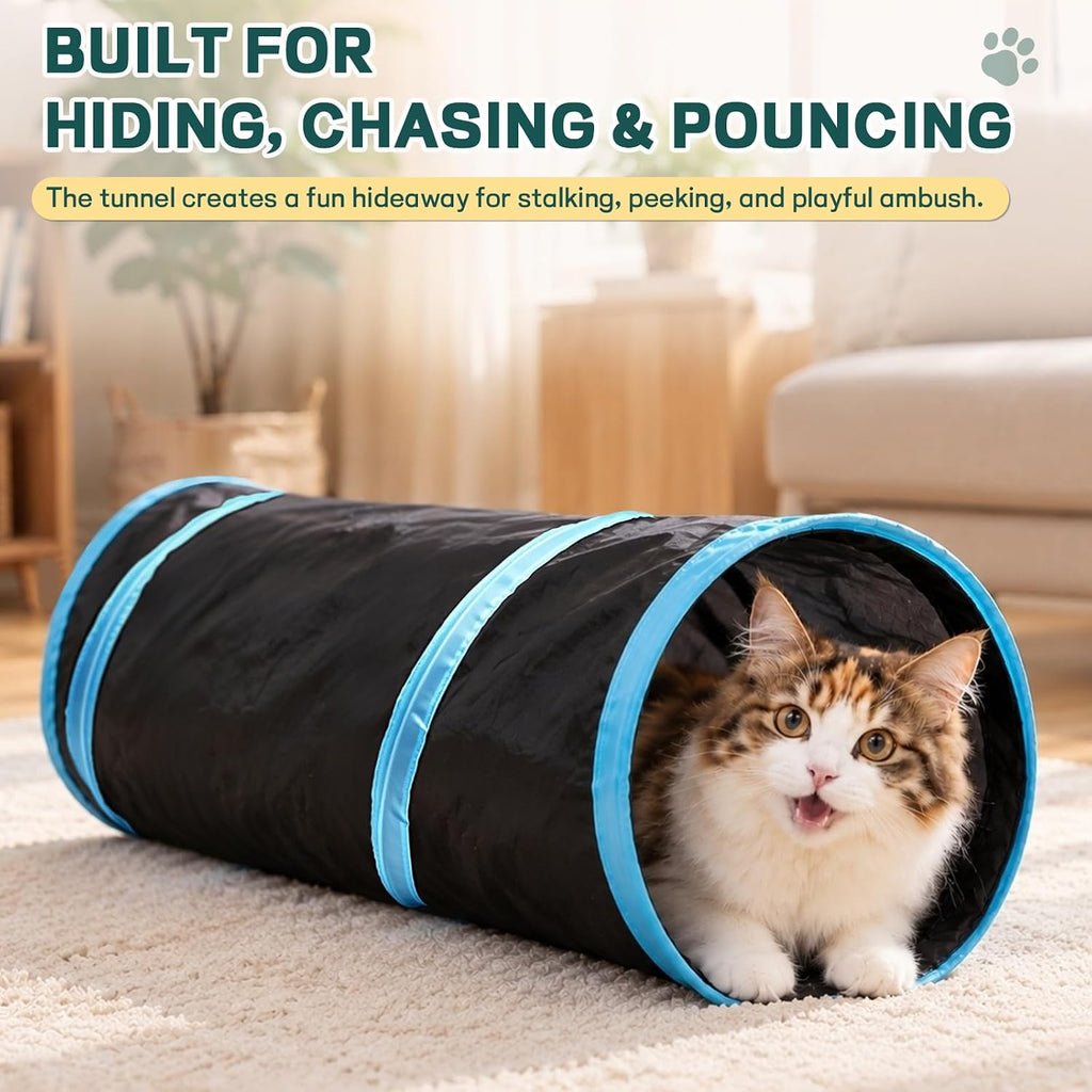 iCAGY 25 Pcs Cat Toys Set, Cat Tunnel Toy for Indoor Cats, Kittens