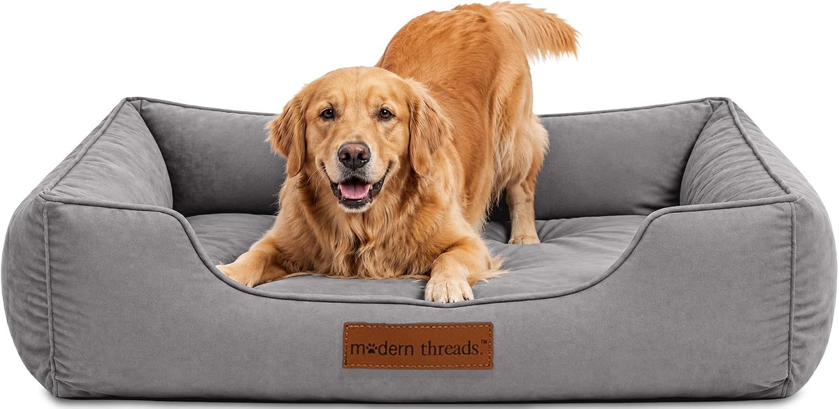 Modern Threads Luxury Dog Bed - Comfortable Tufted Velvet Cushion for Small to Large Dogs - Machine Washable - Durable & Cute Sleep Space for Pets - Pamper Your Pet with Cozy Beds - Charcoal