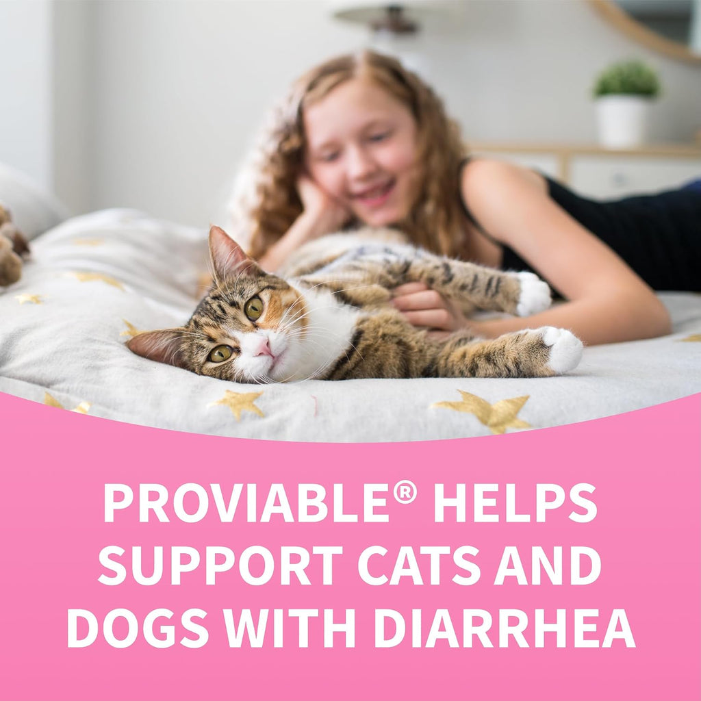Nutramax Laboratories Proviable Digestive Health Supplement Kit with Multi-Strain Probiotics and Prebiotics for Cats and Small Dogs, with 7-Strains of Bacteria, 15 mL Paste and 10 Capsules