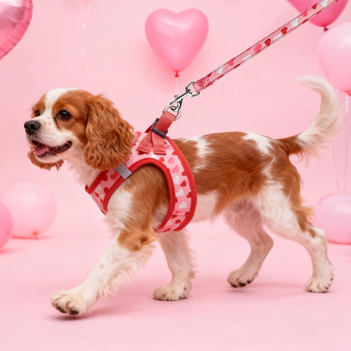 SCENEREAL Valentines Small Dog Harness Collar and Leash Set,Step-in No Pull