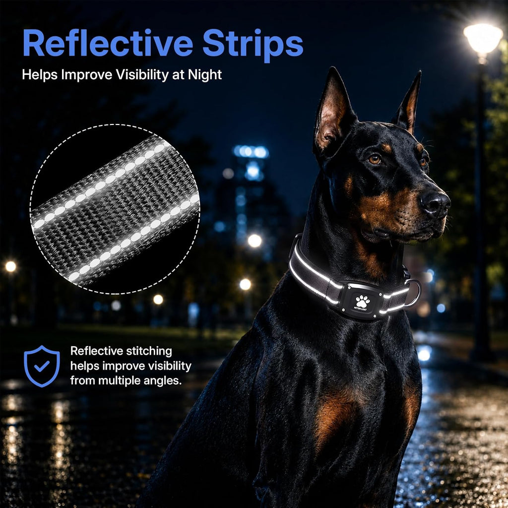 GPS Dog Collar with Tracker, Waterproof, No Monthly Fee, Black, M
