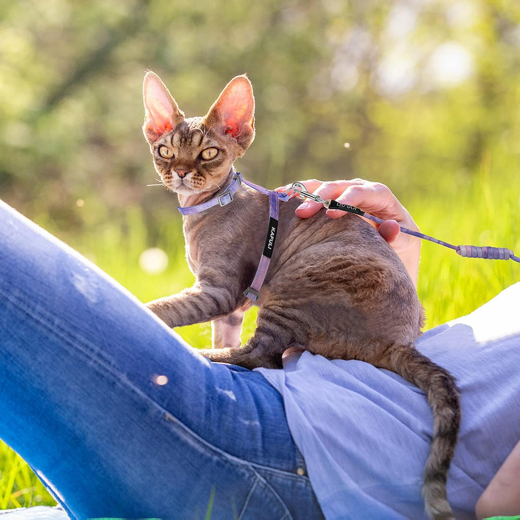 TIESOME Cat Harness and Leash Set, Adjustable Gradient Kitten Harness Escape Proof Harness with Leash for Kitty Outdoor Walking (Gradient Purple)
