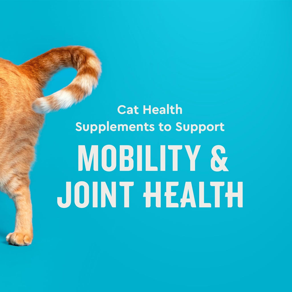 VetIQ Hip & Joint Supplement for Cats, Glucosamine, 3.7oz