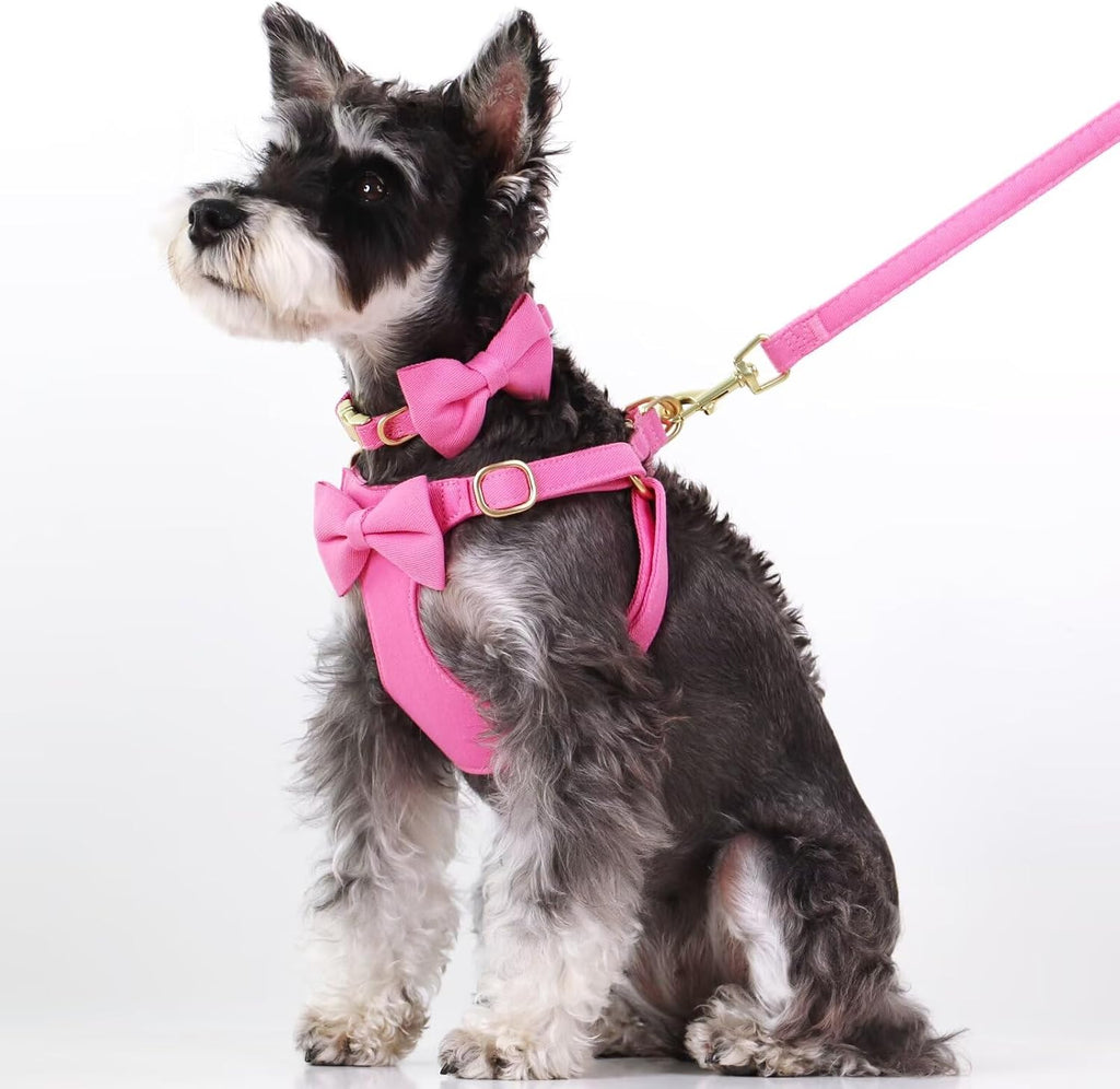 Beirui Cute Small Dog Harness Collar and Leash Set, Rose,S,Chest 17-23"