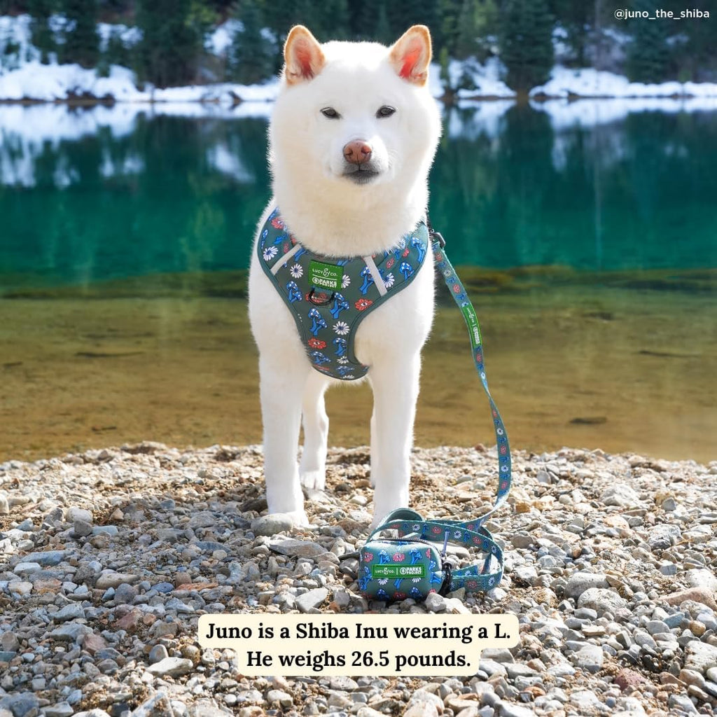 Lucy & Co. x Parks Project Power to the Parks Dog Leash, Durable Matching Dog Lead with Heavy Duty Hardware, Large