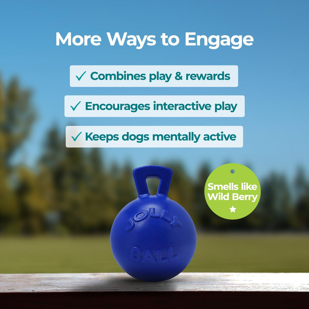 Jolly Pets Tug-n-Toss Dog Toy Ball with Handle, 8 Inches/Large, Blue